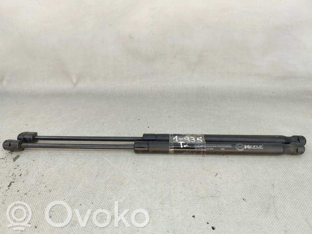 Fiat Punto (176) Ammortizzatore portellone posteriore/bagagliaio