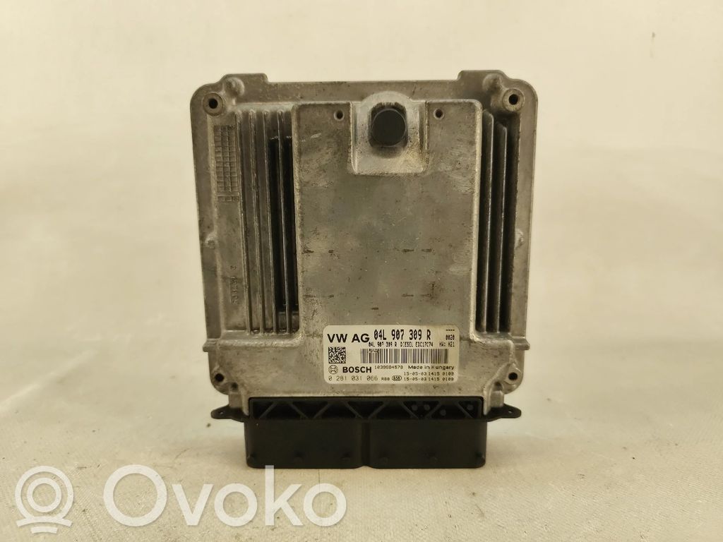 Sterownik / Moduł ECU   04L907309R,0281031066