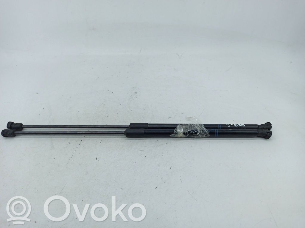 Tailgate/trunk strut/damper   39089133,31500577