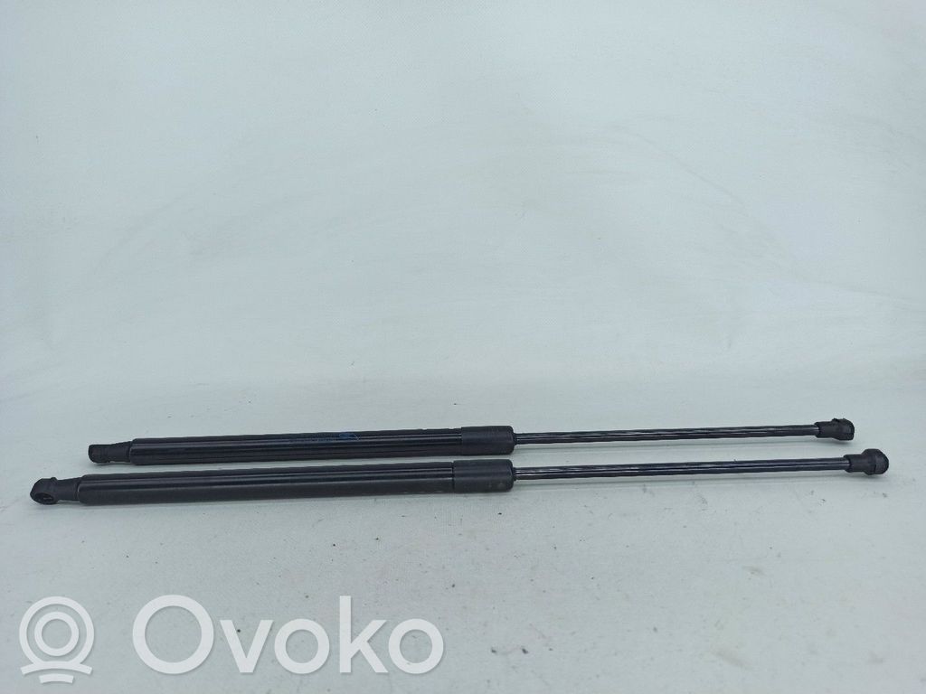 Citroen C4 I Picasso Ammortizzatore portellone posteriore/bagagliaio 