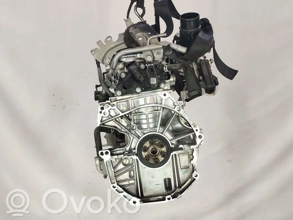 Variklis   H4D450
