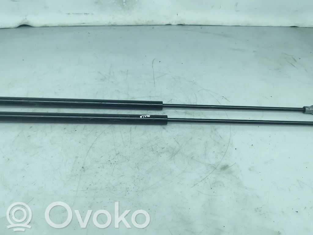 Tailgate/trunk strut/damper