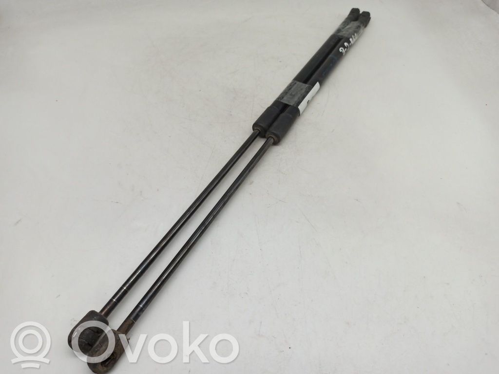 Tailgate/trunk strut/damper