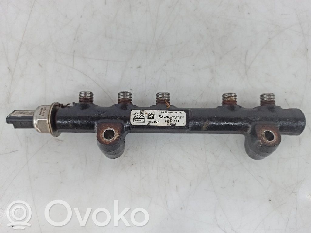 Polttoainepääputki   9685297580