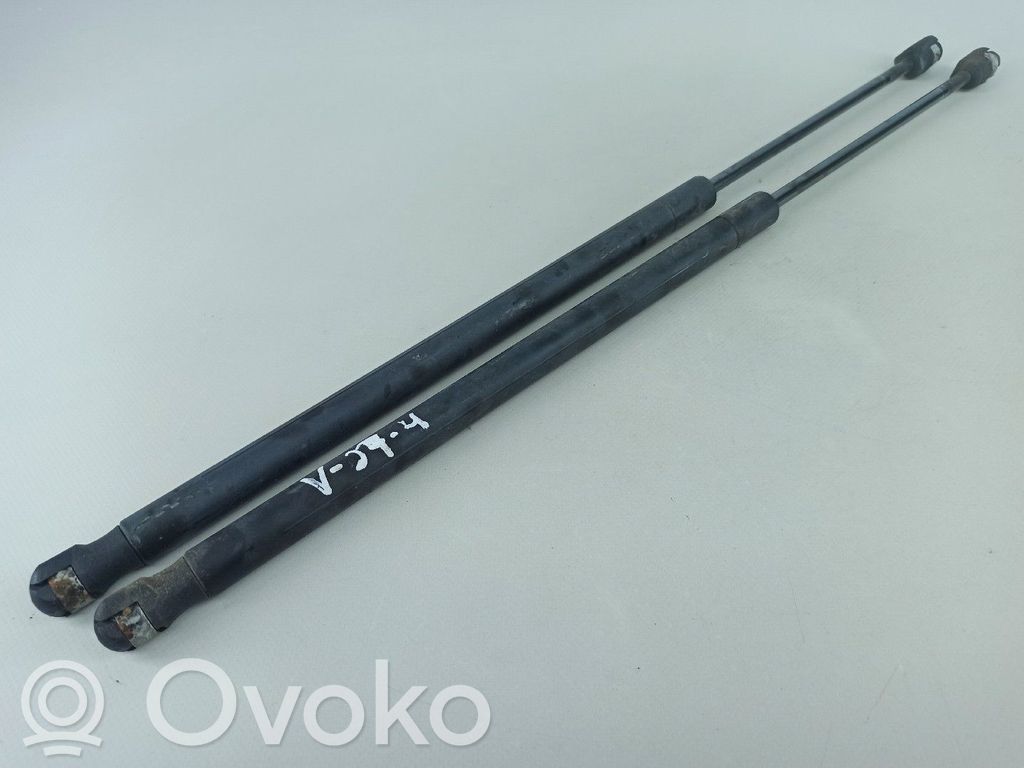 Tailgate/trunk strut/damper