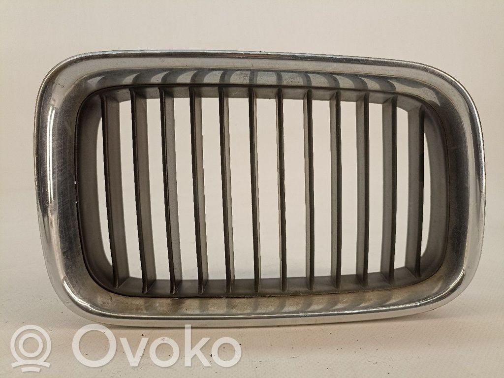 Front grill   51138122238