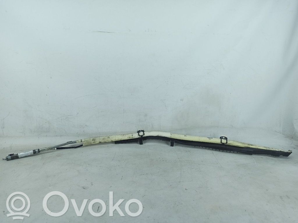 Airbag del techo   2198600005