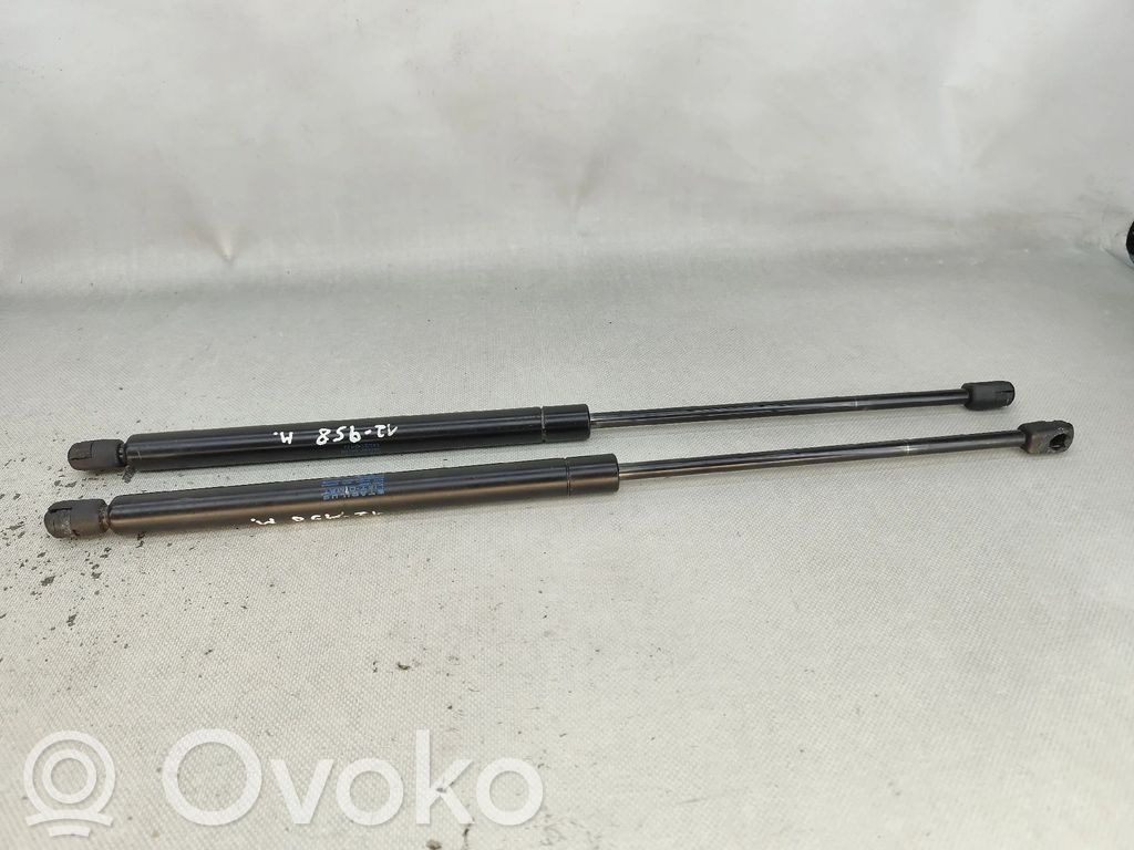 Tailgate/trunk strut/damper   NV,1976BP0810N