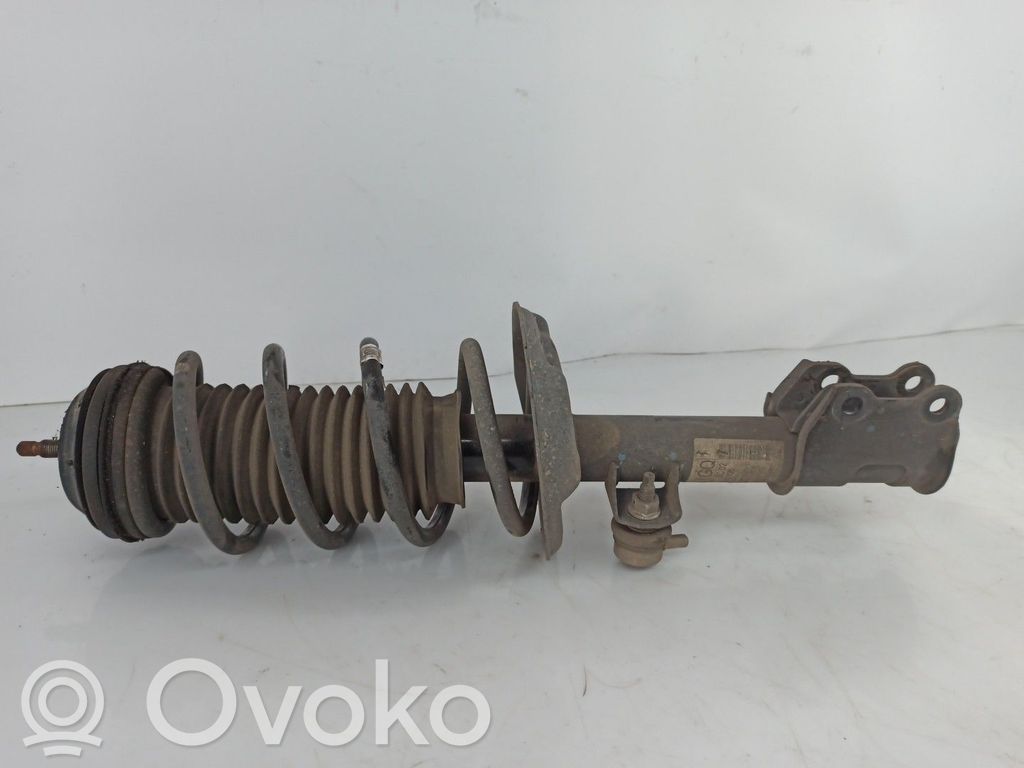 Amortiguador delantero   13343100