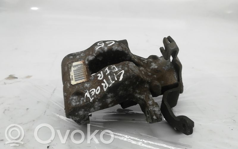 Takajarrusatula   9686800780