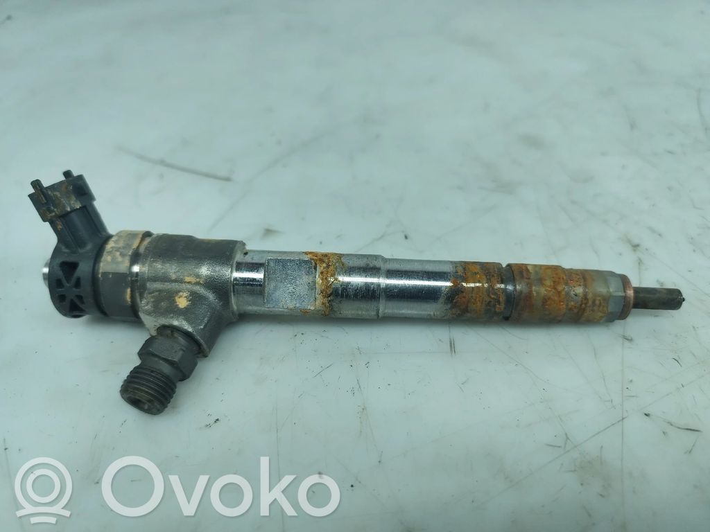 Injektor Einspritzdüse   0445110800,H8201636333