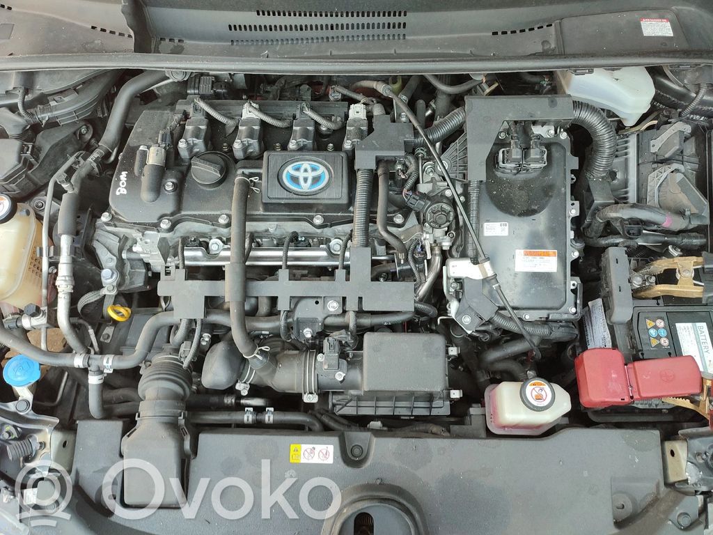 Motor   2ZRFXE