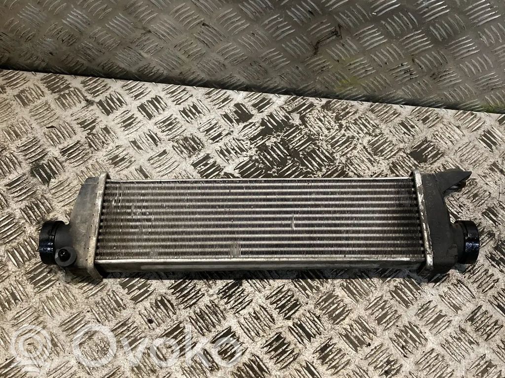 Mercedes-Benz Vaneo W414 Intercooler radiator 