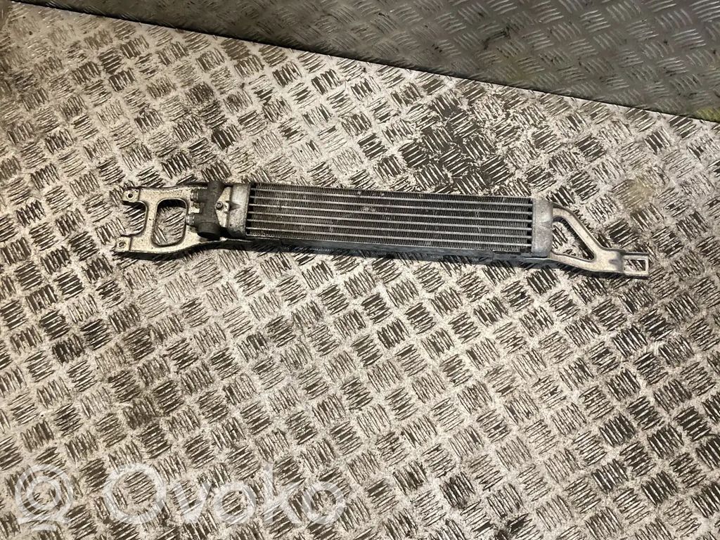 Mercedes-Benz A W169 Chłodnica oleju wspomagania kierownicy 