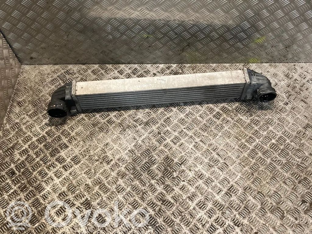 Chłodnica powietrza doładowującego / Intercooler   A1695000000,1695000000