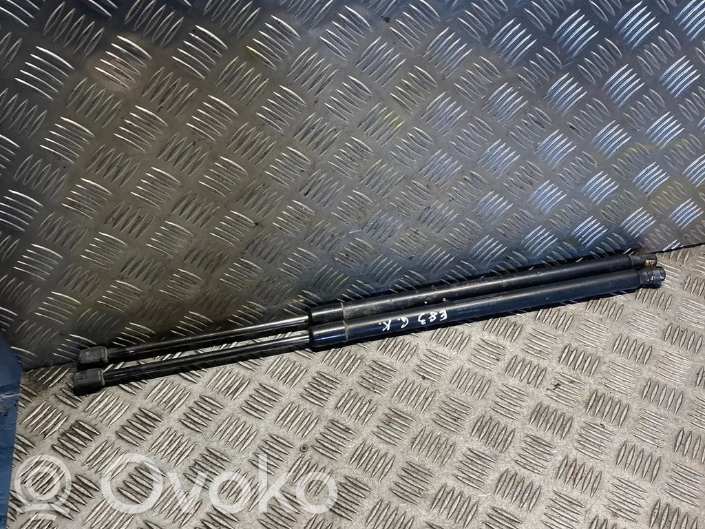 Tailgate/trunk strut/damper   74870