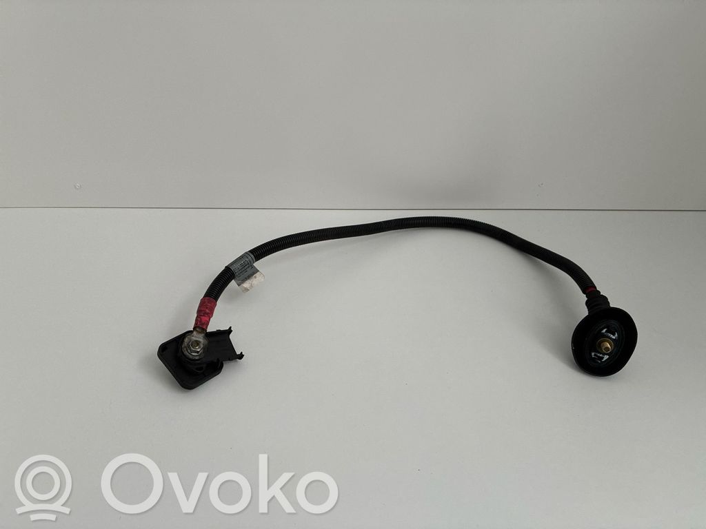 Plusa vads (akumulatora)   702000964,13955903,E2267M