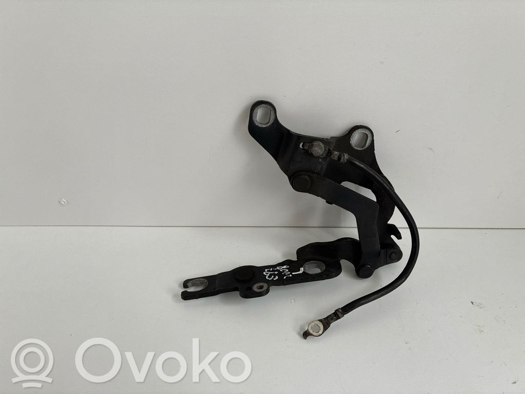 BMW 1 E81 E87 Cerniere del vano motore/cofano 