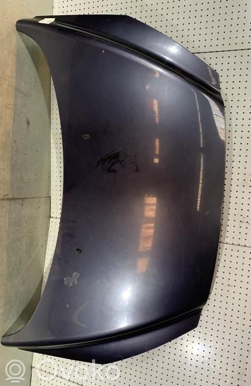 Motorhaube   7901P6