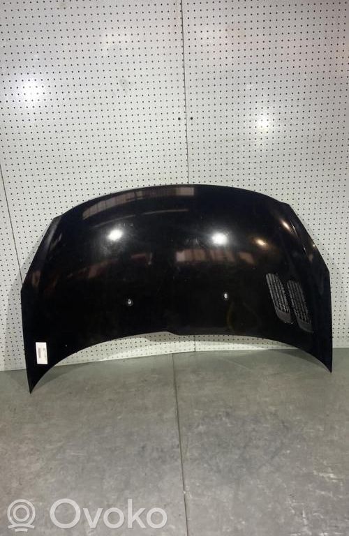 Motorhaube   7901R5