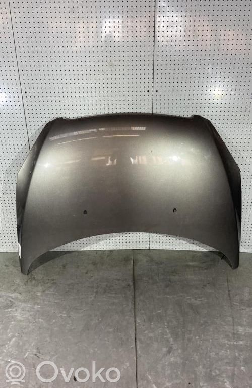 Motorhaube   7901J0