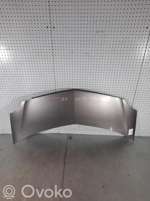Capó/tapa del motor   651001535R