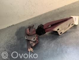 Renault Megane III Cerniere del vano motore/cofano