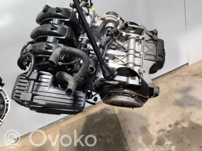 Motor   1619234580