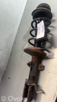 Stoßdämpfer Federbein   543026656R