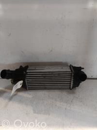 Radiador intercooler   0384N4