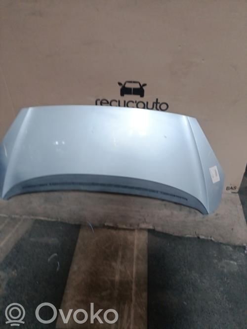 Motorhaube   7901Q5