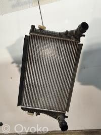Volkswagen PASSAT B7 Radiator intercooler 
