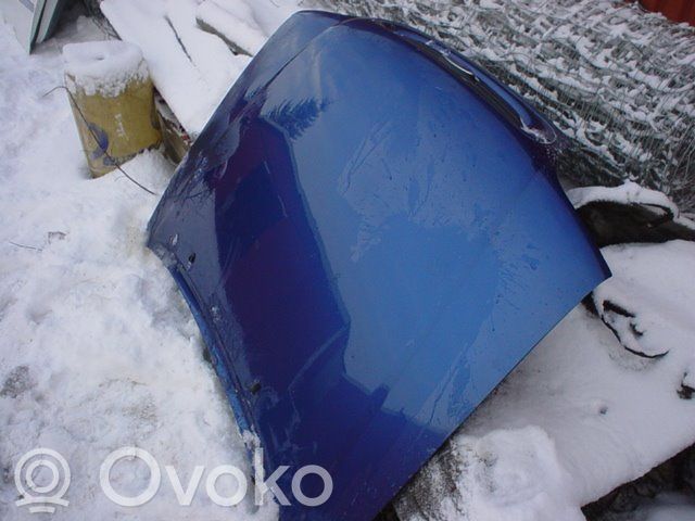 Dangtis variklio (kapotas)