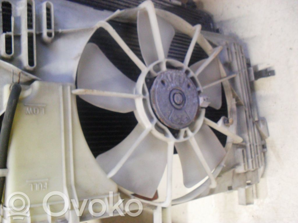 Elektrinis radiatorių ventiliatorius