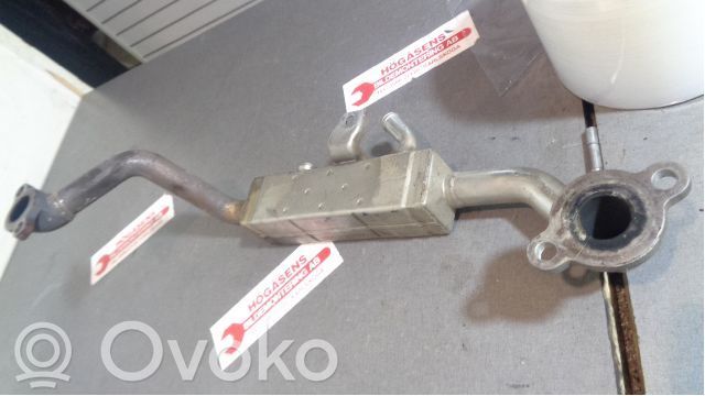 Refroidisseur de vanne EGR   J2D02520BBAS01