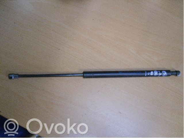 Jambe de force de hayon