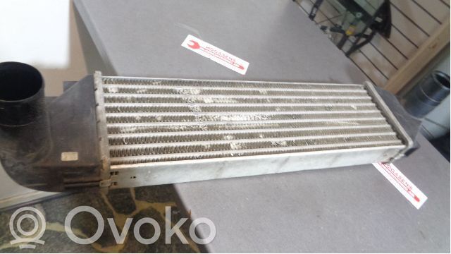 Intercooler radiator   4729521