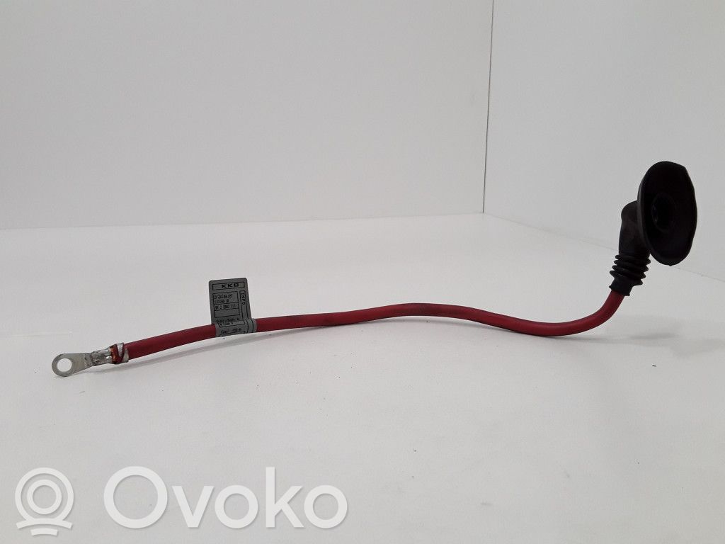 Plusa vads (akumulatora)   6910543
