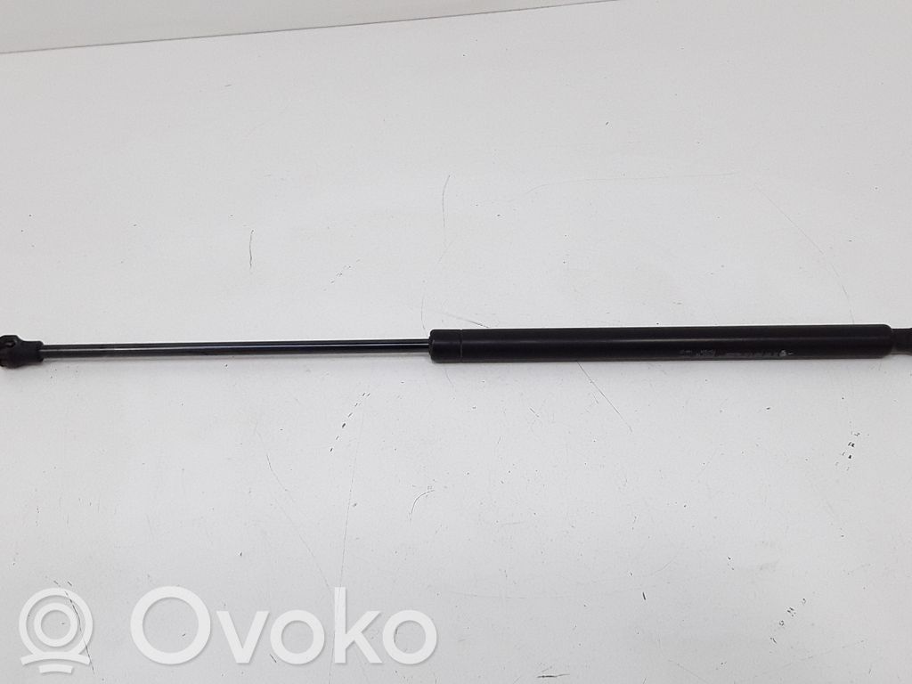 Tailgate/trunk strut/damper