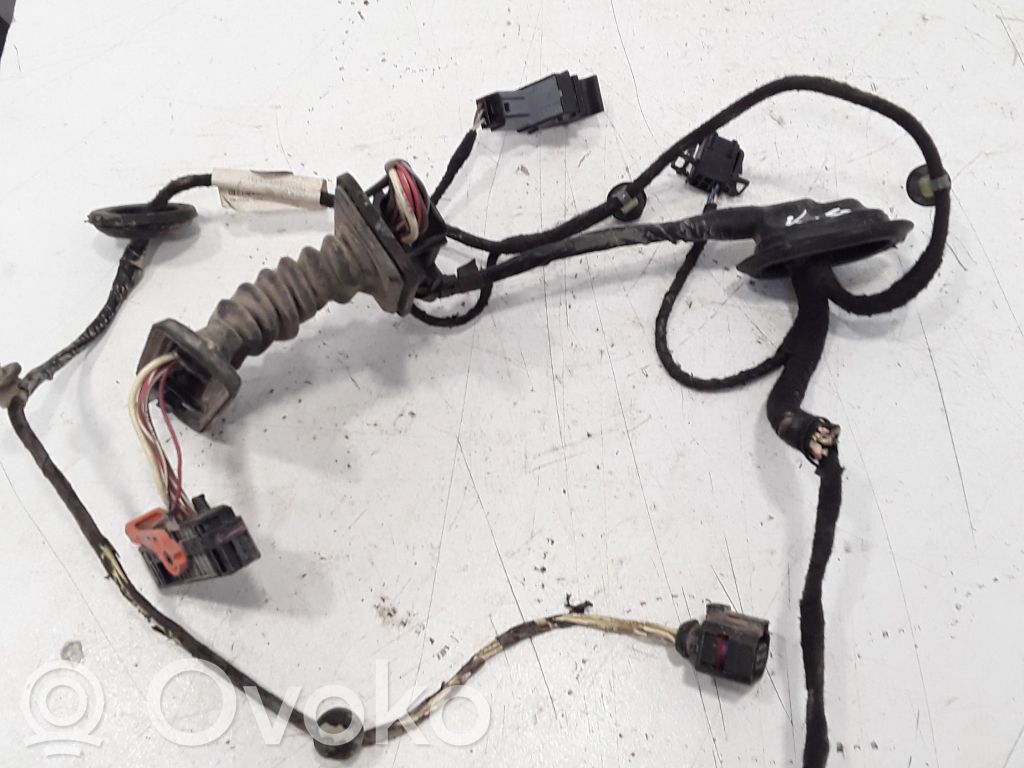 Volkswagen PASSAT B6 Wiązka przewodów drzwi tylnych 