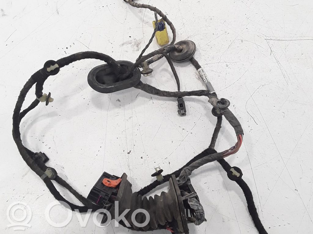 Volkswagen PASSAT B6 Wiązka przewodów drzwi tylnych 