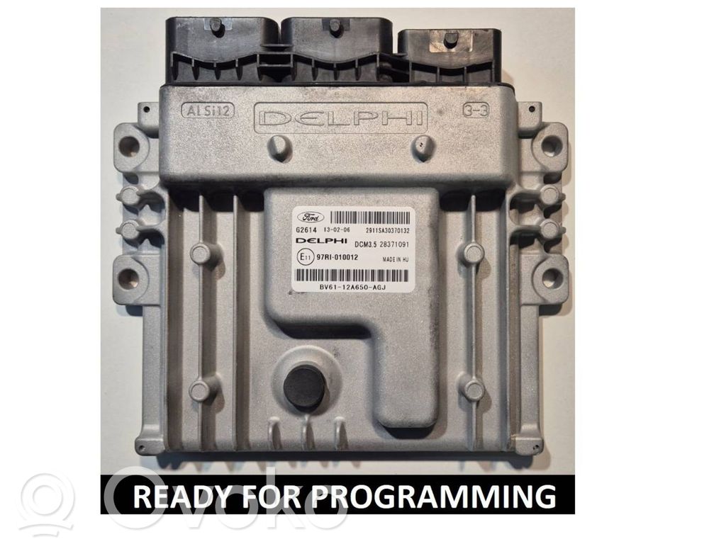 Ford Focus Engine control unit/module 