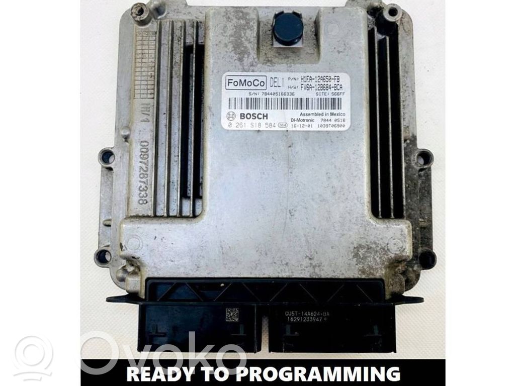 Ford Focus Engine control unit/module 
