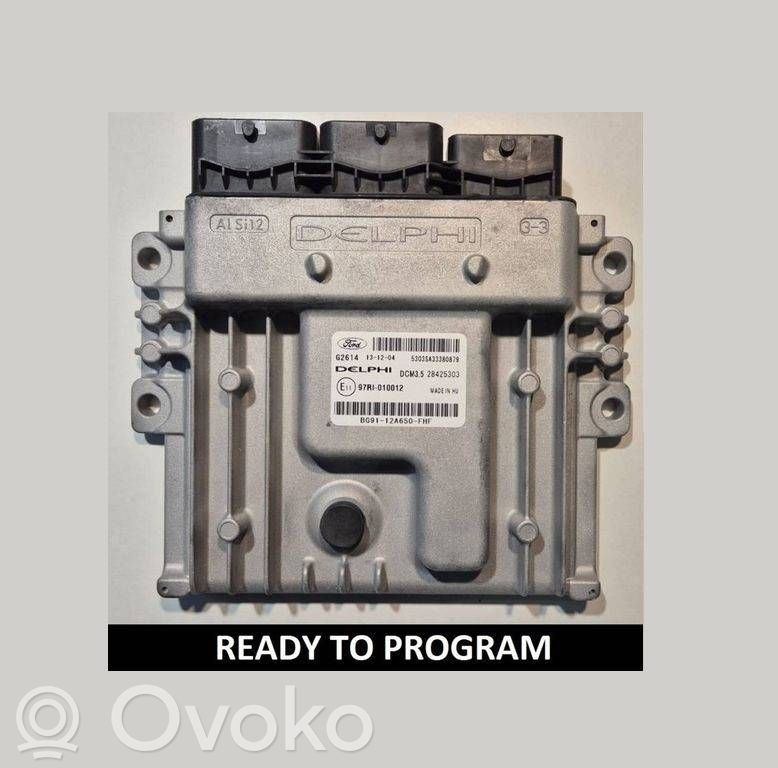 Engine control unit/module   28425303,BG9112A650FHF
