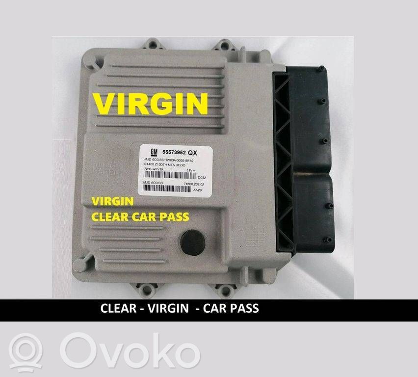 Engine control unit/module ECU   55573952,55573952QX