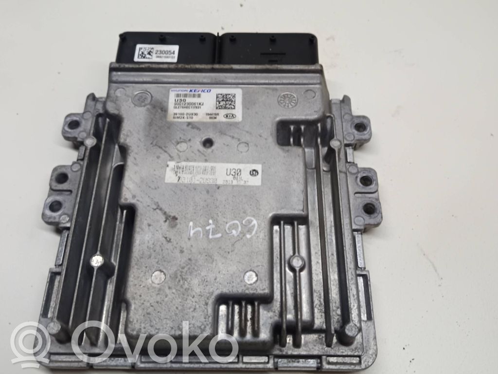 KIA Sportage Engine control unit/module 