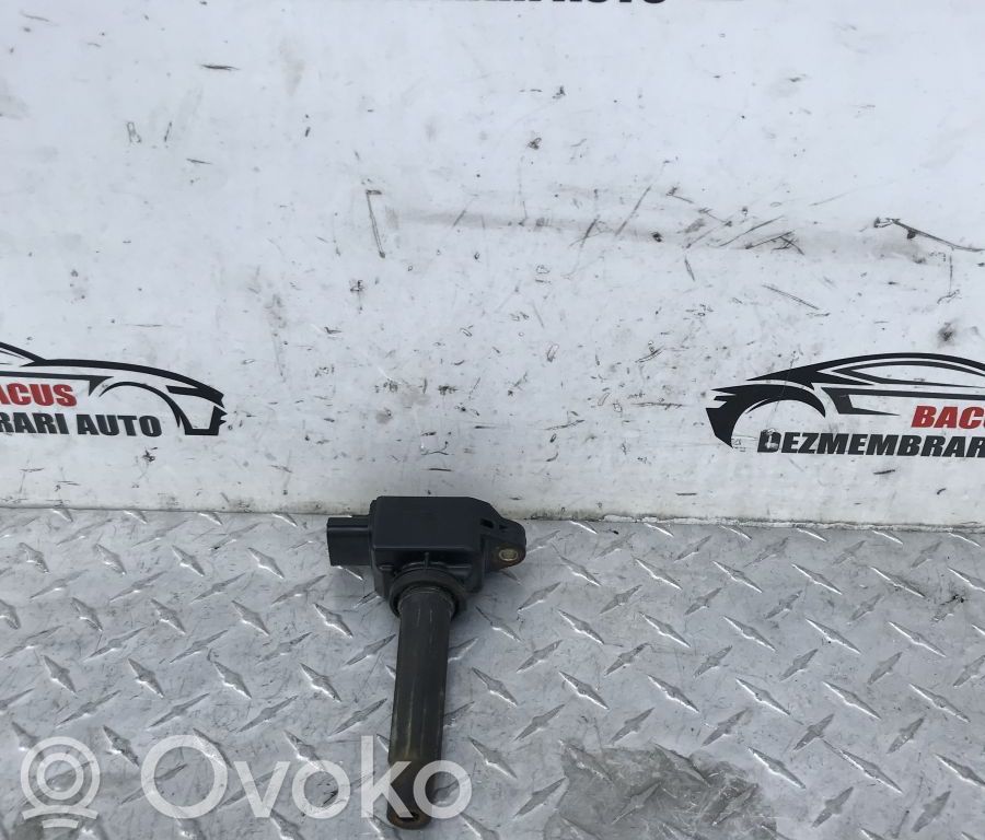 High voltage ignition coil   PE2018100