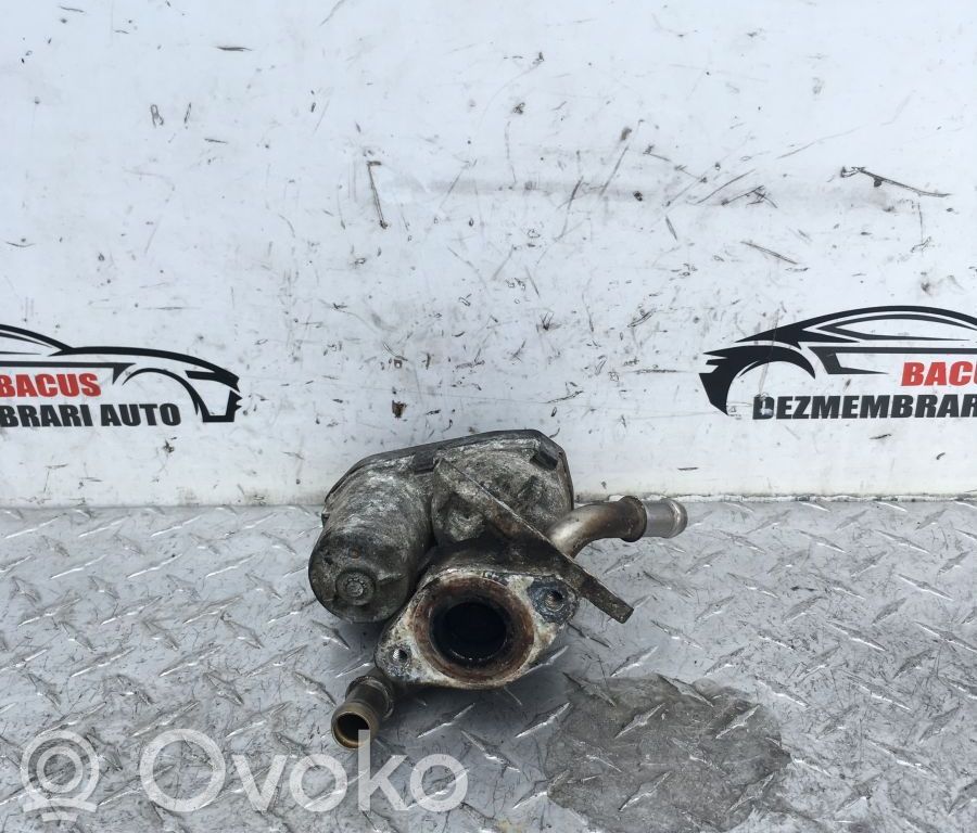 EGR vožtuvas   8C1Q9D475BA