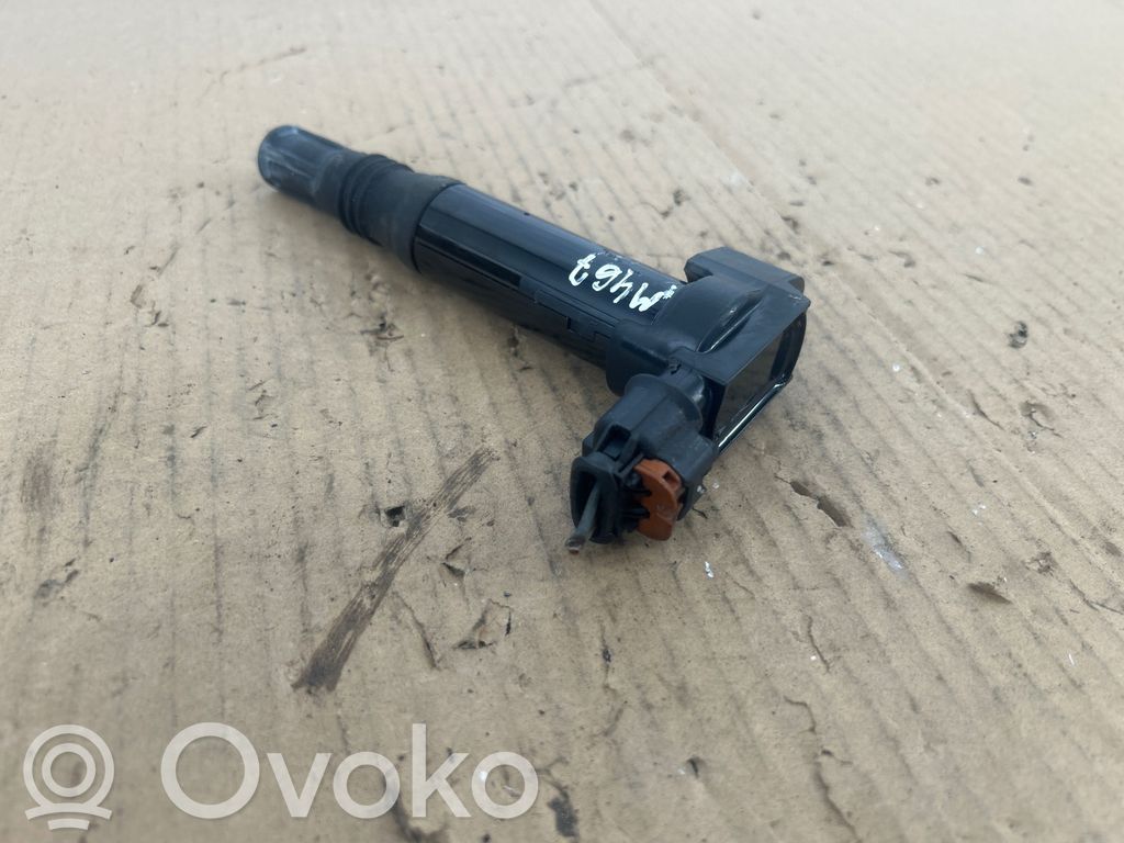 High voltage ignition coil   5DA358057,242025