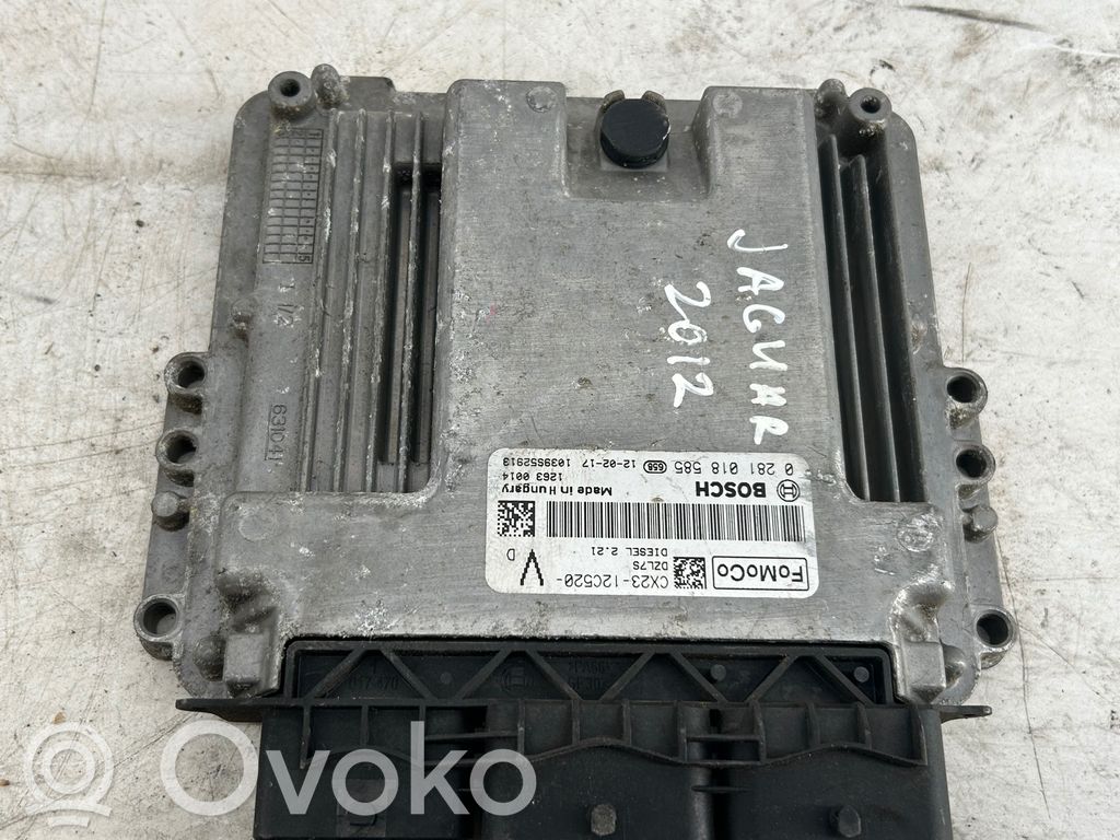 Jaguar XF X250 Engine control unit/module 